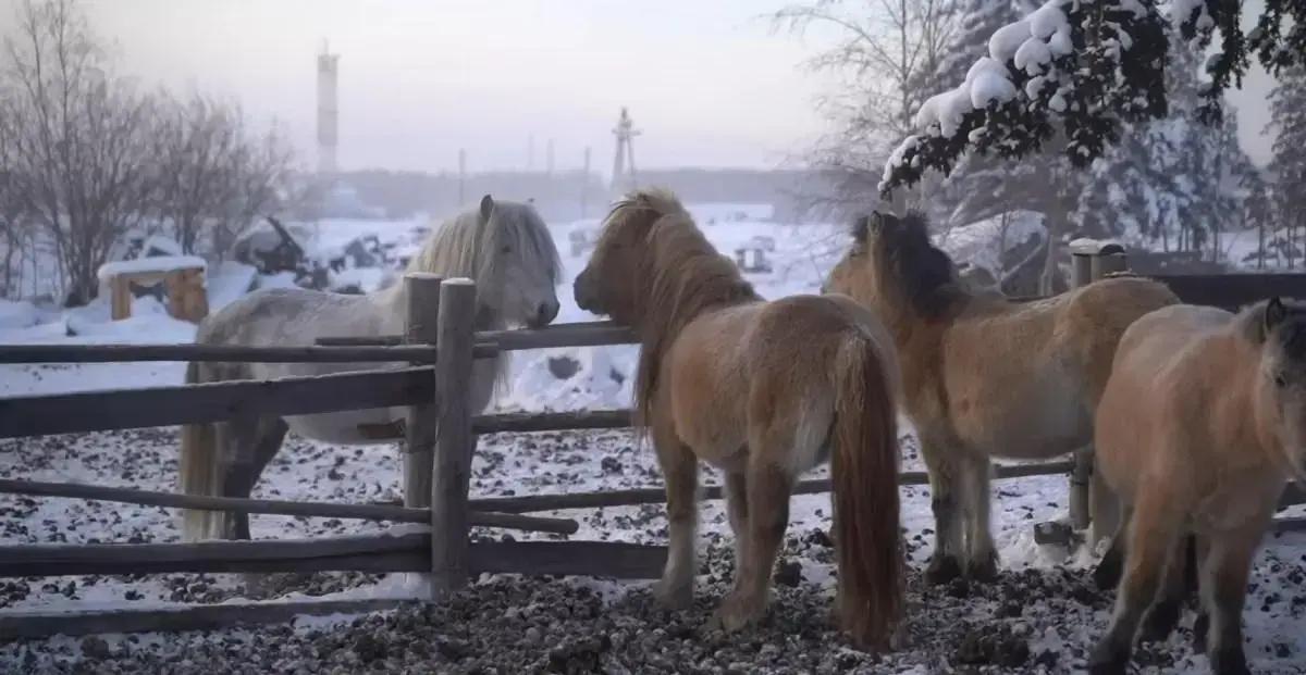 5 Mini Filmes que Revelam a Cidade Mais Fria do Mundo